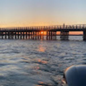 Meet your Posher, Rowan